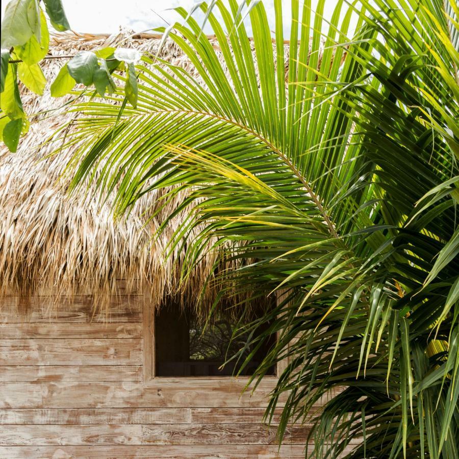 Suyo Cabanas Popoyo | Hotel Suyo El Limón 外观 照片